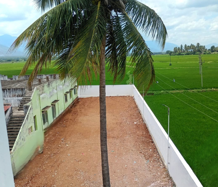 Gallery image 12